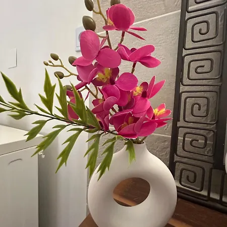 La Cachette Albigeoise, Plein Centre, Parking Gratuit Securise Apartman