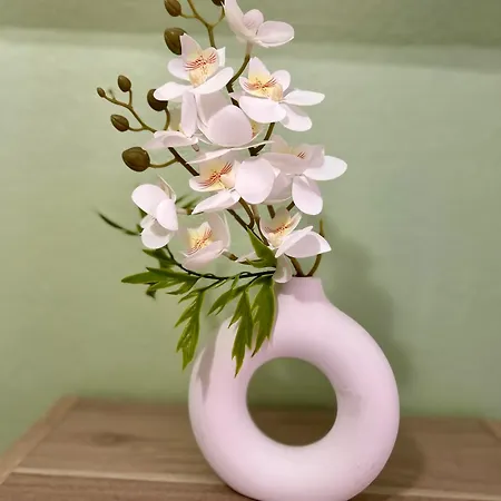 Apartman La Cachette Albigeoise, Plein Centre, Parking Gratuit Securise