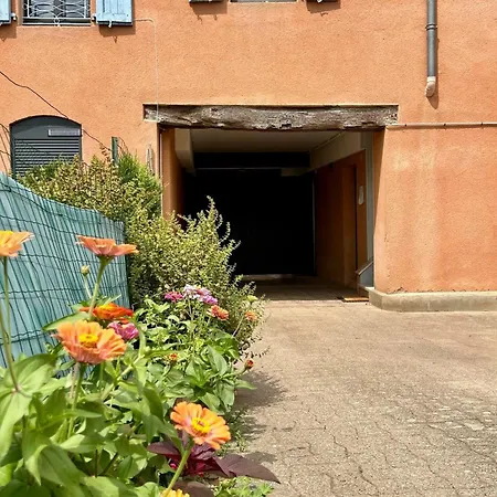 La Cachette Albigeoise, Plein Centre, Parking Gratuit Securise * Albi